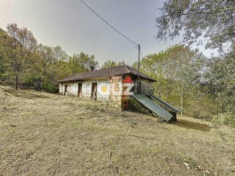 Quinta T3 Venda em Olo e Canadelo,Amarante