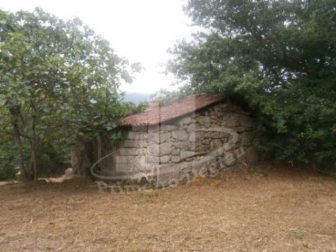 2 Casas para Restauro na Póvoa de Lanhoso