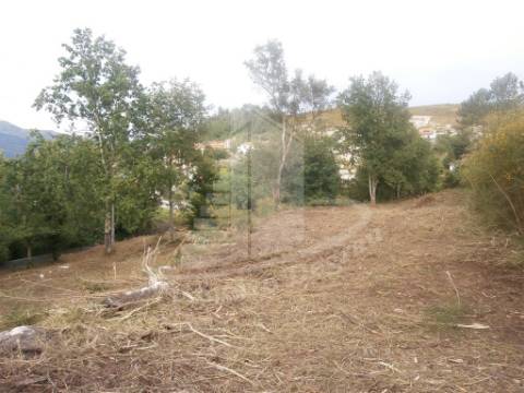 2 Casas para Restauro na Póvoa de Lanhoso