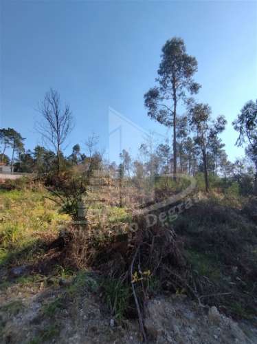 Terreno para construção próximo do Pingo Doce, Vila Verde