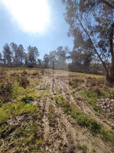 Terreno para construção próximo do Pingo Doce, Vila Verde