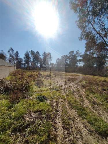 Terreno para construção próximo do Pingo Doce, Vila Verde