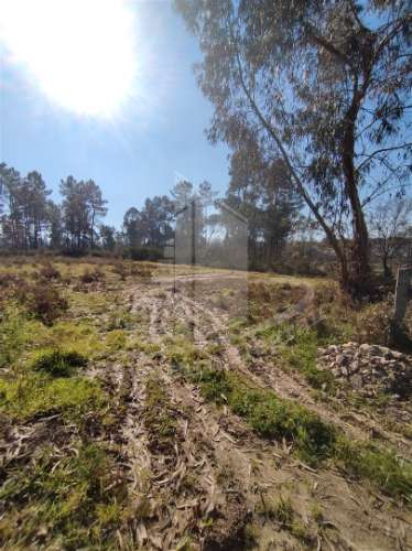 Terreno para construção próximo do Pingo Doce, Vila Verde