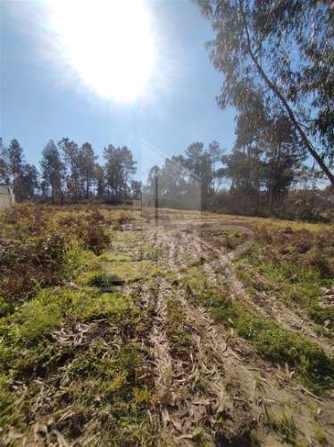 Terreno para construção próximo do Pingo Doce, Vila Verde