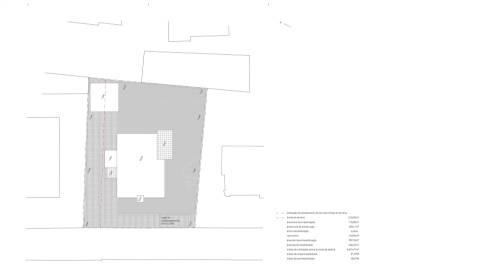 Moradia individual, Palmeira
