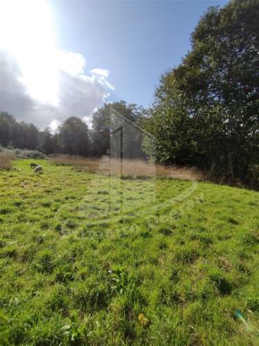 Herdade  Venda em Este (São Pedro e São Mamede),Braga