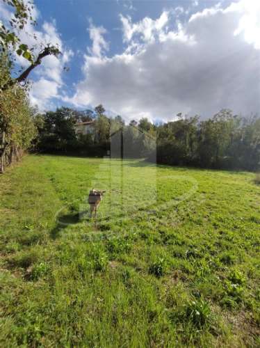 Herdade  Venda em Este (São Pedro e São Mamede),Braga