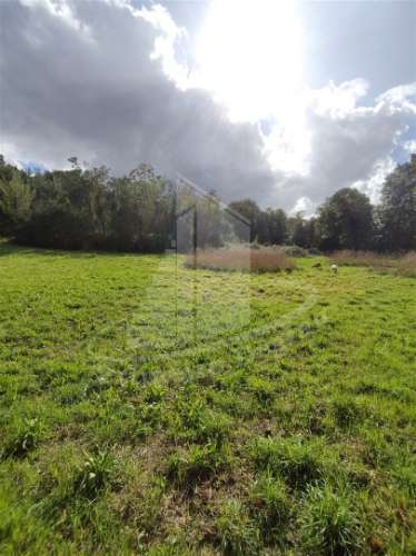 Herdade  Venda em Este (São Pedro e São Mamede),Braga