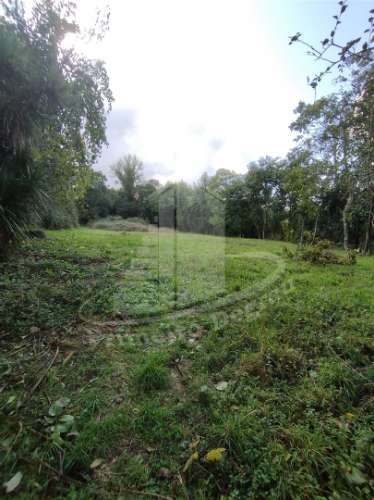 Herdade  Venda em Este (São Pedro e São Mamede),Braga