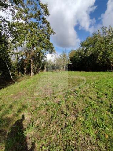 Herdade  Venda em Este (São Pedro e São Mamede),Braga