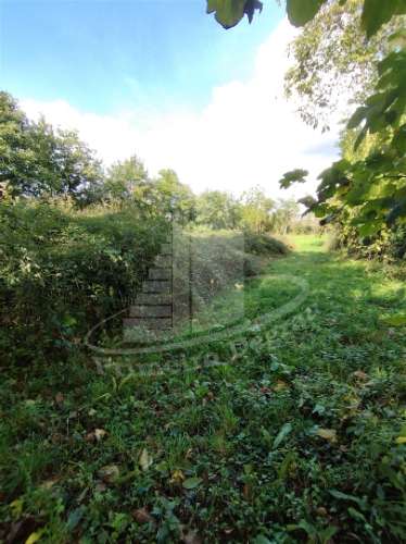Herdade  Venda em Este (São Pedro e São Mamede),Braga