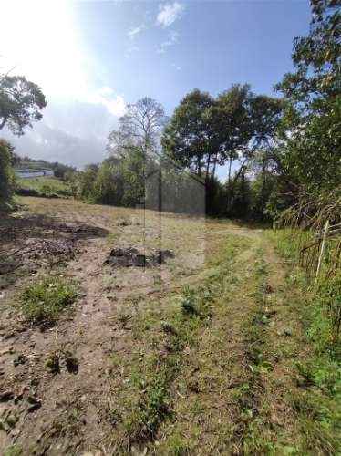 Herdade  Venda em Este (São Pedro e São Mamede),Braga