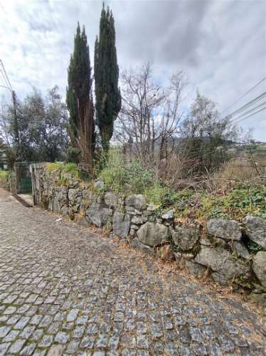 Quintinha com 2 hectares