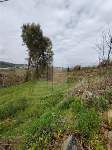 Quintinha com 2 hectares