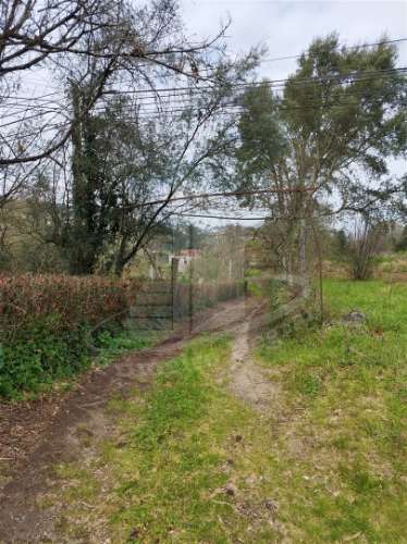 Quintinha com 2 hectares