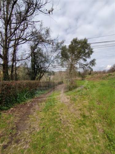 Quintinha com 2 hectares