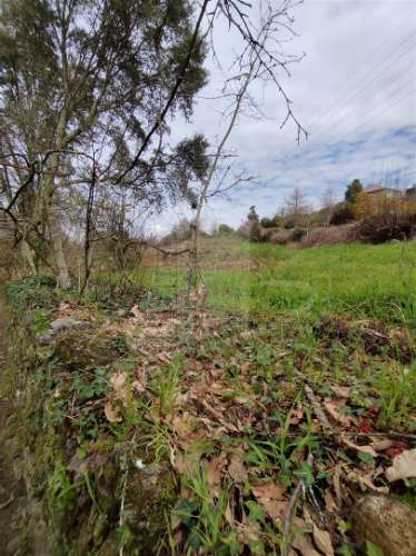 Quintinha com 2 hectares