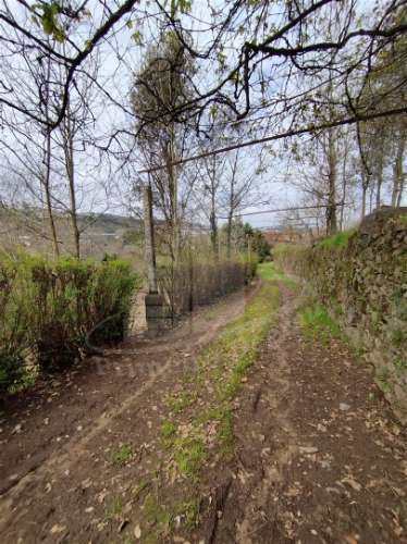 Quintinha com 2 hectares