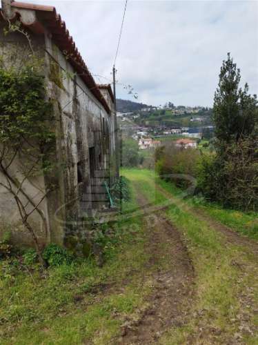 Quintinha com 2 hectares