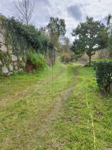 Quintinha com 2 hectares