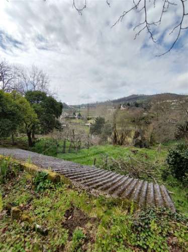 Quintinha com 2 hectares