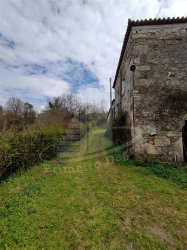 Quintinha com 2 hectares