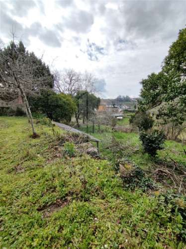 Quintinha com 2 hectares