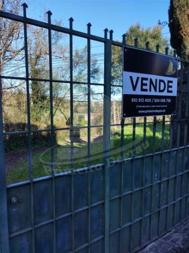 Quintinha com 2 hectares