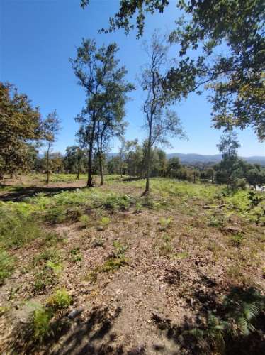 Terreno Para Construção  Venda em Turiz,Vila Verde