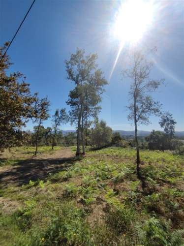 Terreno Para Construção  Venda em Turiz,Vila Verde
