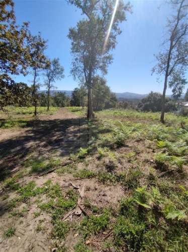 Terreno Para Construção  Venda em Turiz,Vila Verde