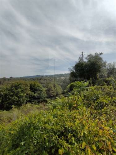 &#127969; Lote de Terreno para Construção de Moradia Individual – 548 m²