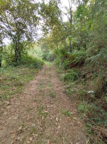 &#127969; Terreno para Construção de Moradia Individual – 688 m² | Santa Lucrécia de Algeriz, Braga