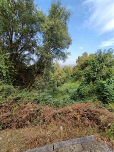 &#127969; Terreno para Construção de Moradia Individual – 688 m² | Santa Lucrécia de Algeriz, Braga