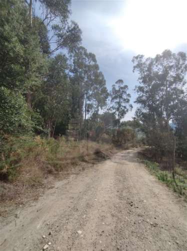 Terreno Para Construção  Venda em Crespos e Pousada,Braga