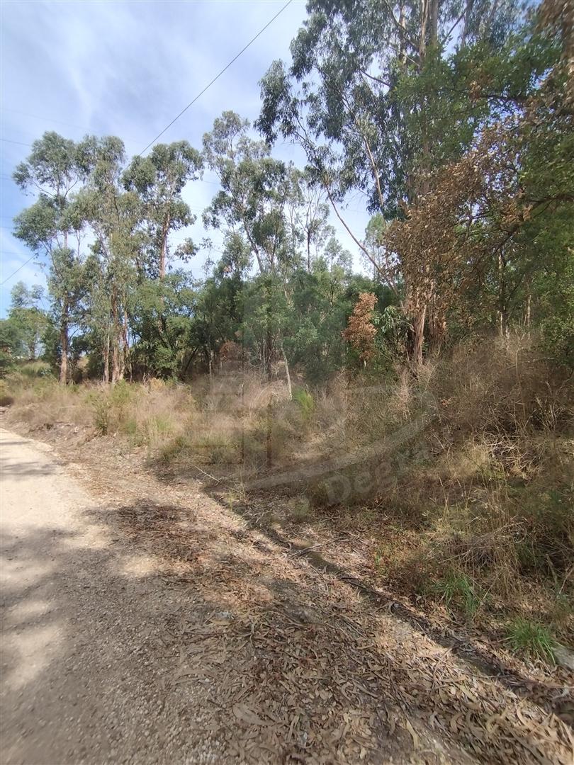 Terreno Para Construção  Venda em Crespos e Pousada,Braga