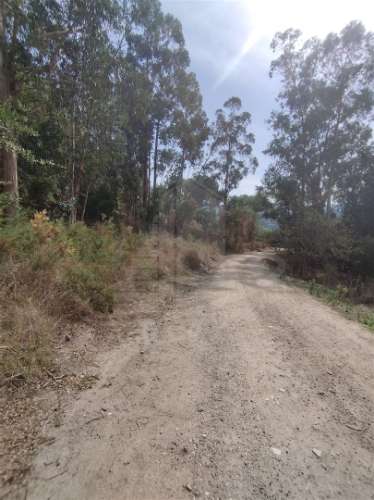 Terreno Para Construção  Venda em Crespos e Pousada,Braga