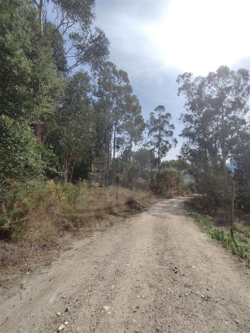 Terreno  Venda em Crespos e Pousada,Braga