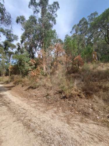 Terreno  Venda em Crespos e Pousada,Braga