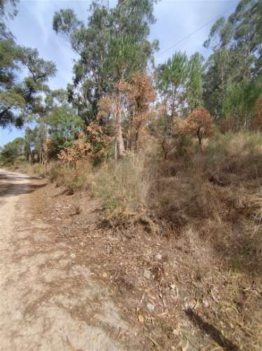 Terreno  Venda em Crespos e Pousada,Braga
