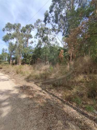 Terreno  Venda em Crespos e Pousada,Braga