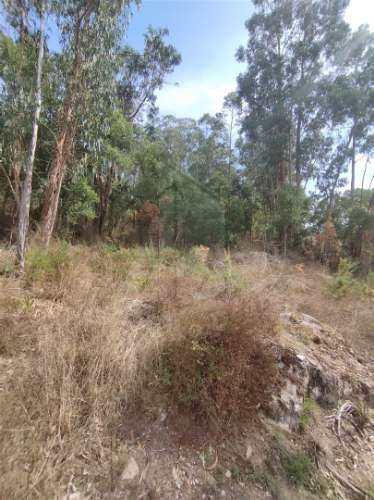 Terreno  Venda em Crespos e Pousada,Braga