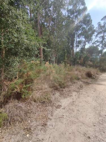 Terreno  Venda em Crespos e Pousada,Braga