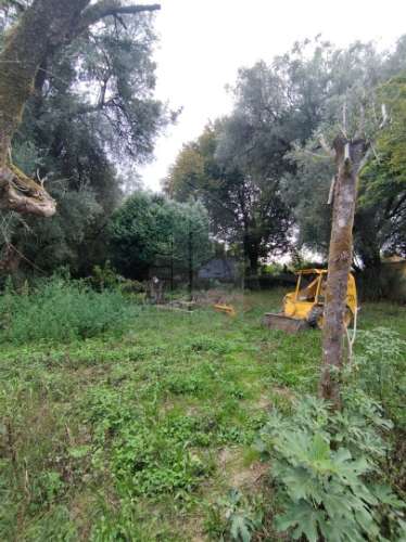 &#127969; Quinta Histórica de 1937 com 8.000 m² – Palmeira, Braga