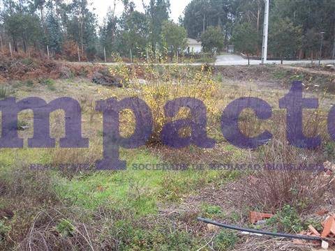 Lotes terrenos localizados em Fajões.
