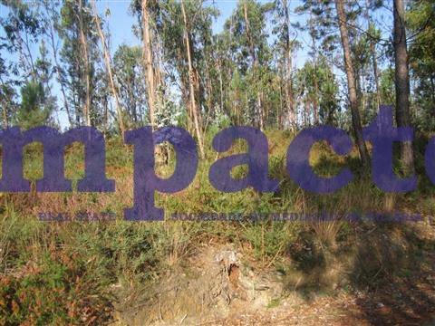 Terreno em Pigeiros, Santa Maria da Feira