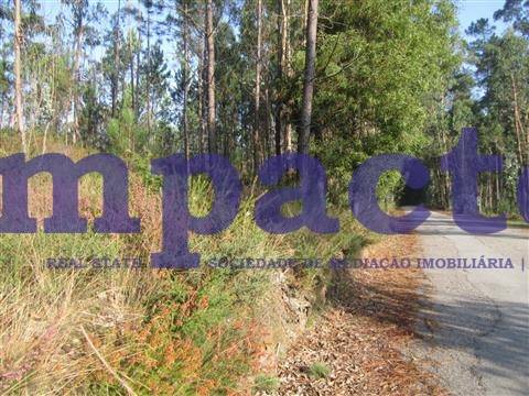 Terreno em Pigeiros, Santa Maria da Feira