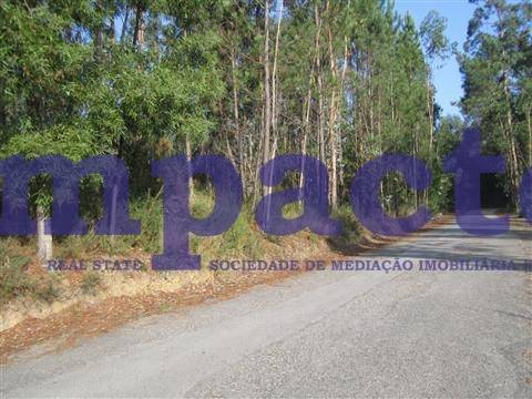 Terreno em Pigeiros, Santa Maria da Feira