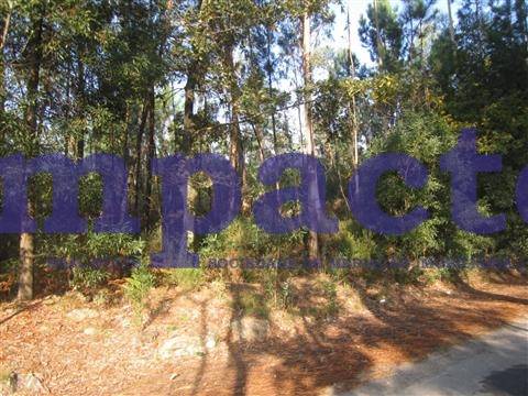 Terreno em Pigeiros, Santa Maria da Feira
