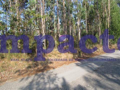 Terreno em Pigeiros, Santa Maria da Feira